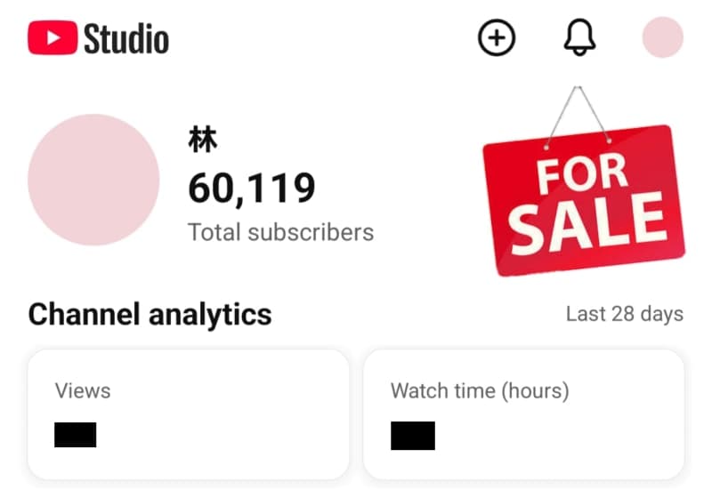 YouTube Channel (林)