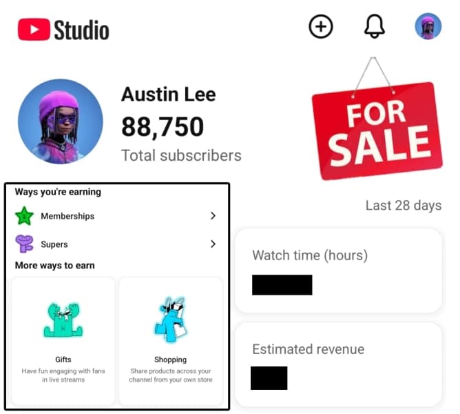 YouTube Channel (Austin Lee)